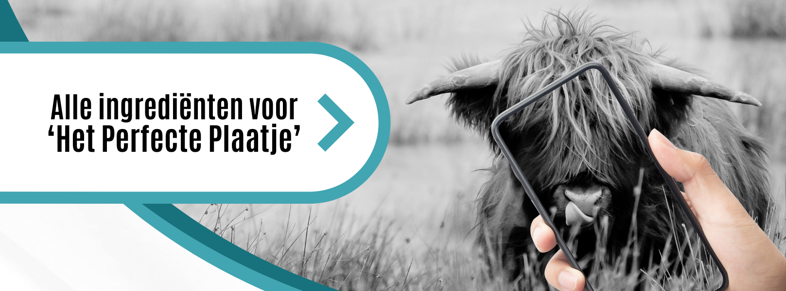 Cursus fotografie met de smartphone